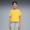 Pelé Yellow-PUMA Green-Tangerine