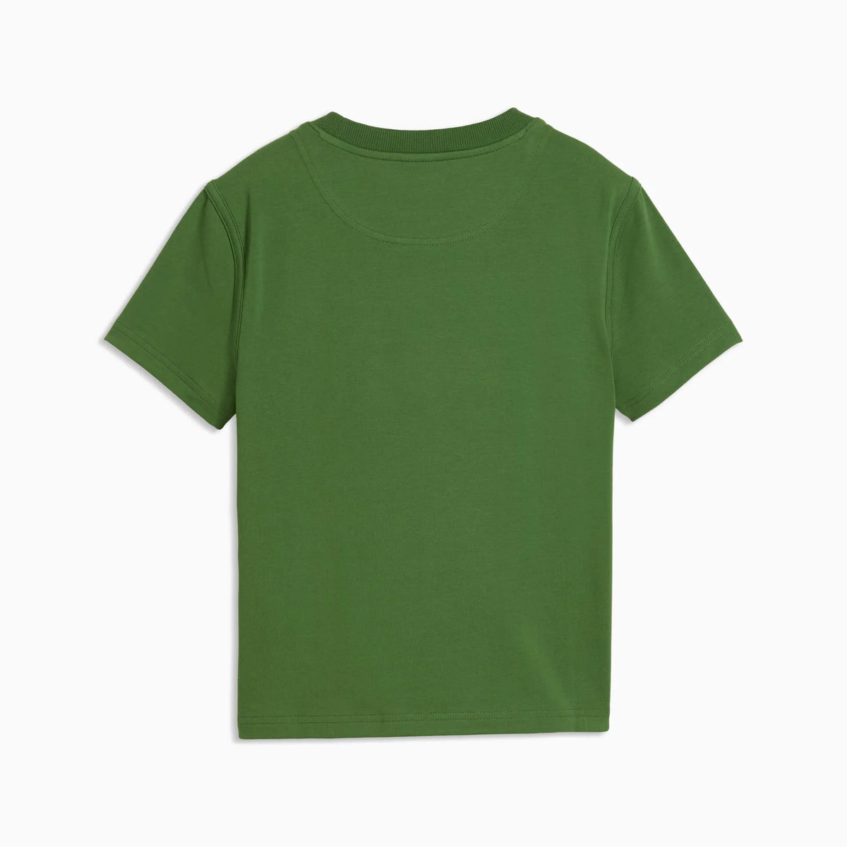 Earthy Green