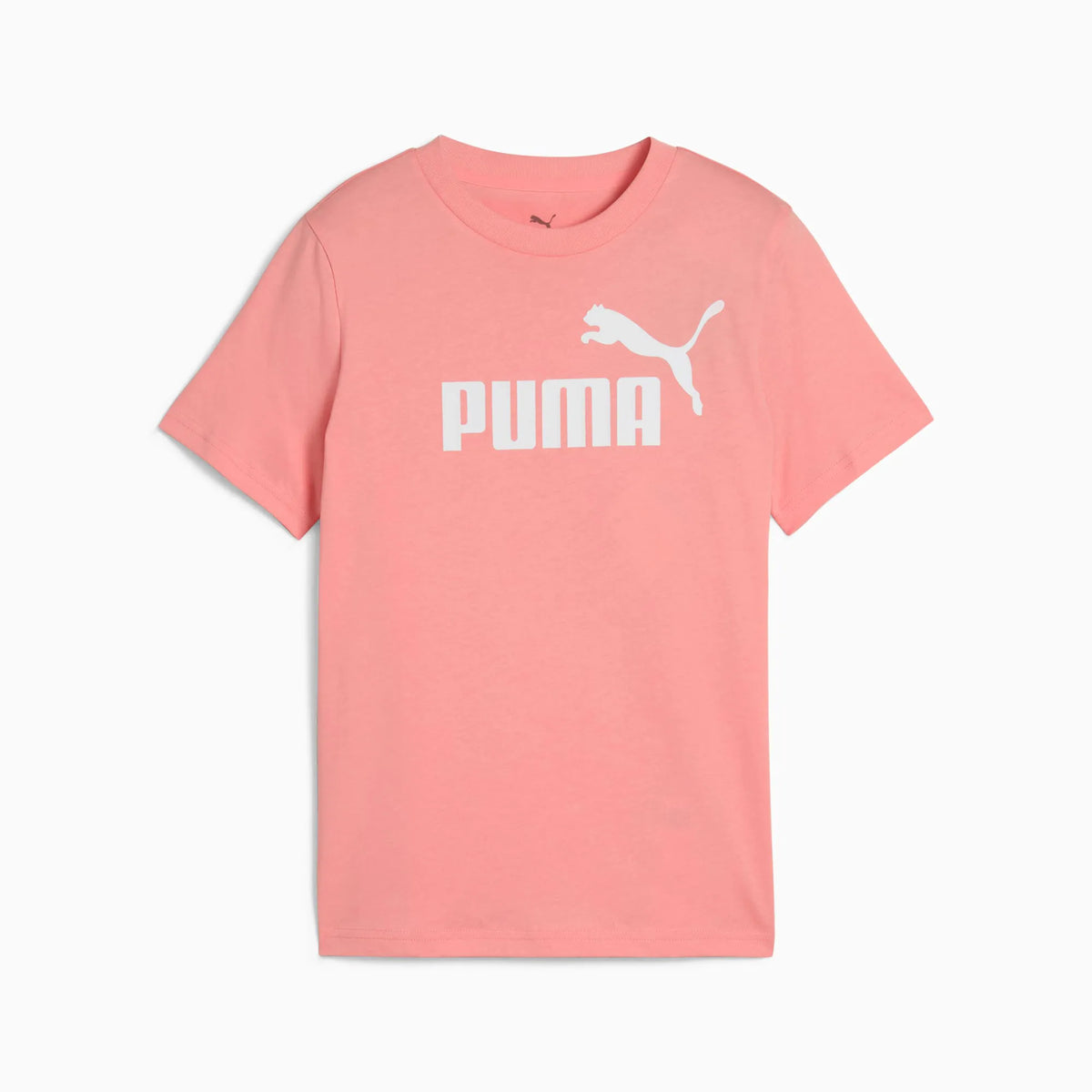 Pink Fruit