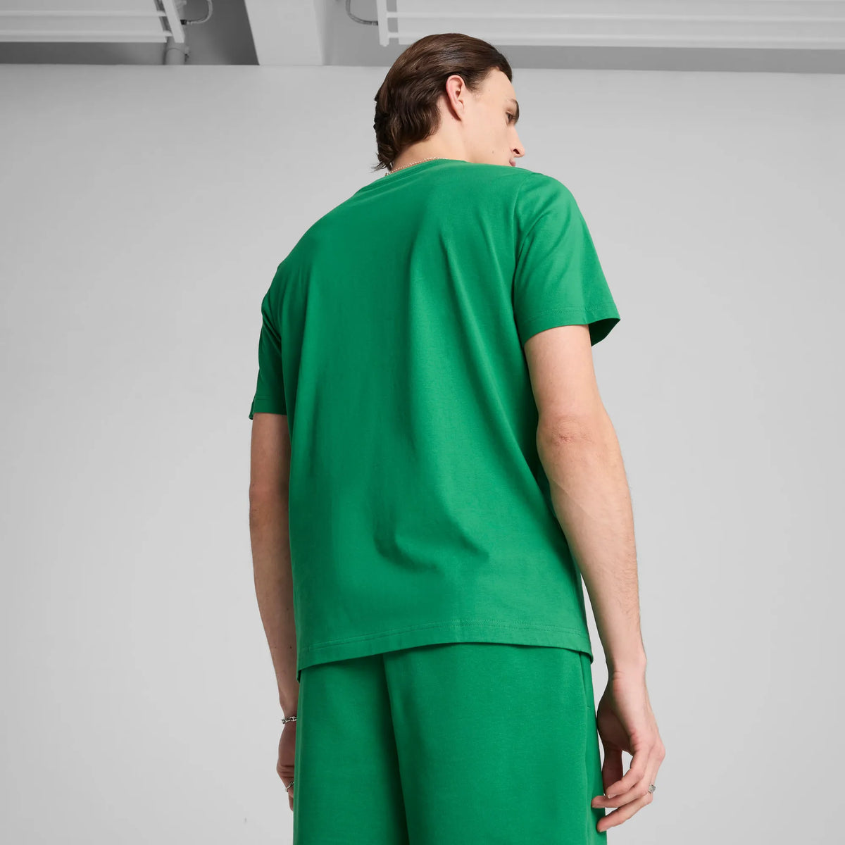 Archive Green