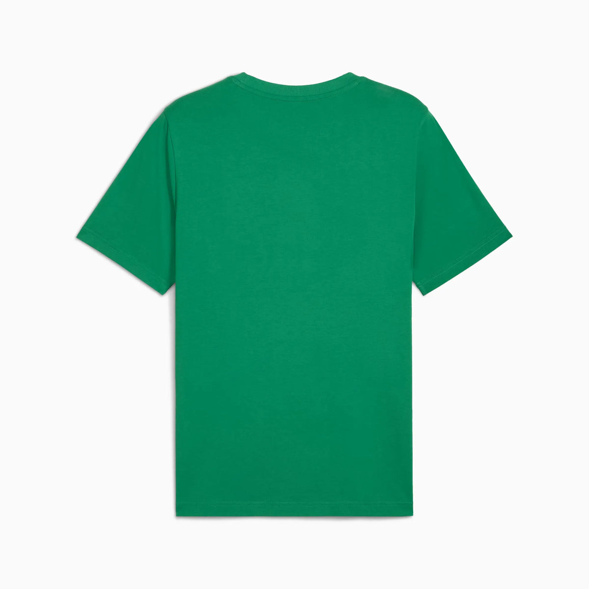 Archive Green