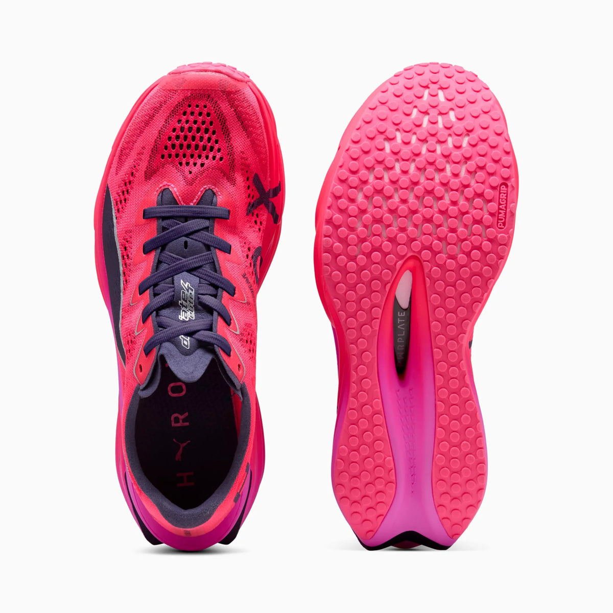 Pure Pink-Electric Orchid-Deep Plum