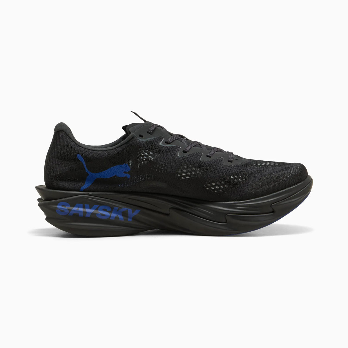 Flat Dark Gray-Vivid Blue