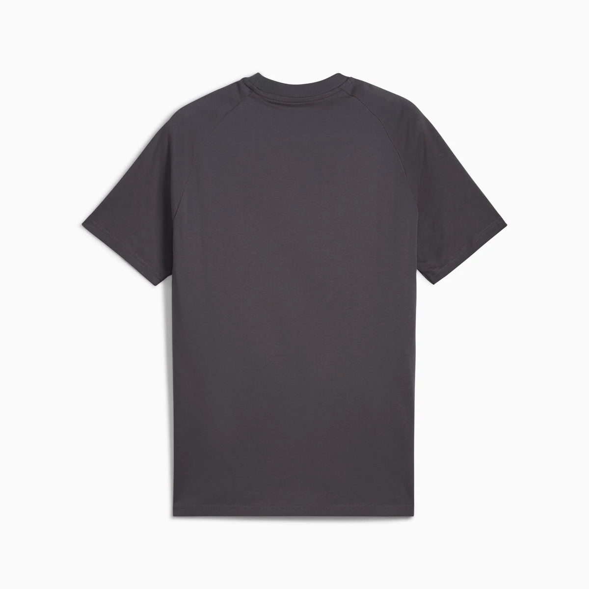 Dusky Gray