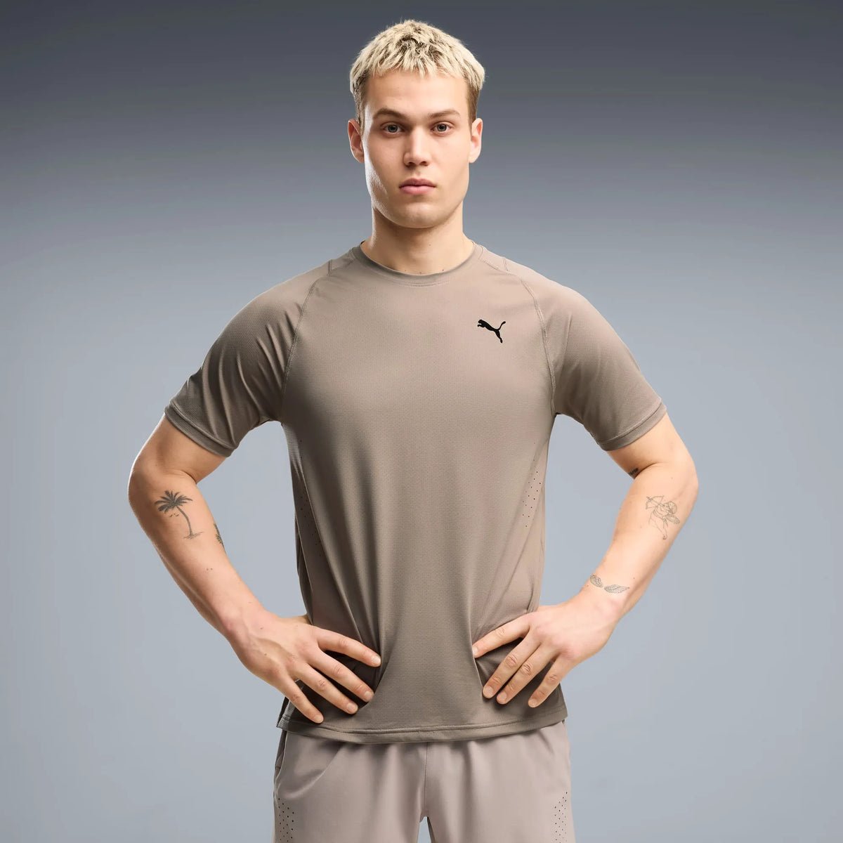 Mouse Gray