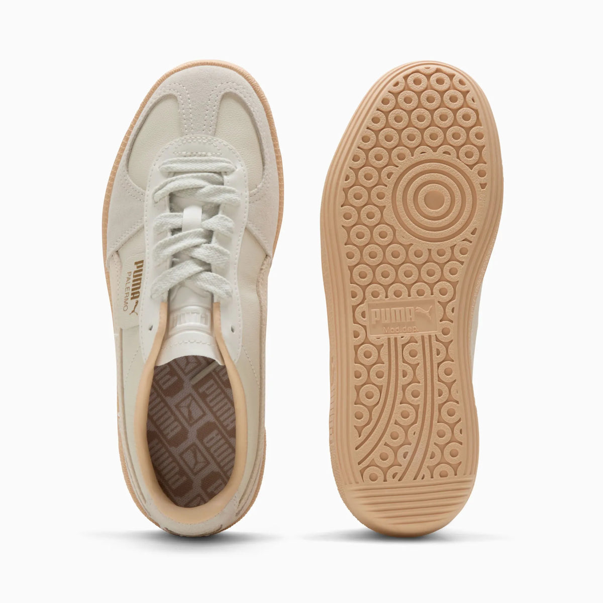 Warm White-Alpine Snow-Cashew