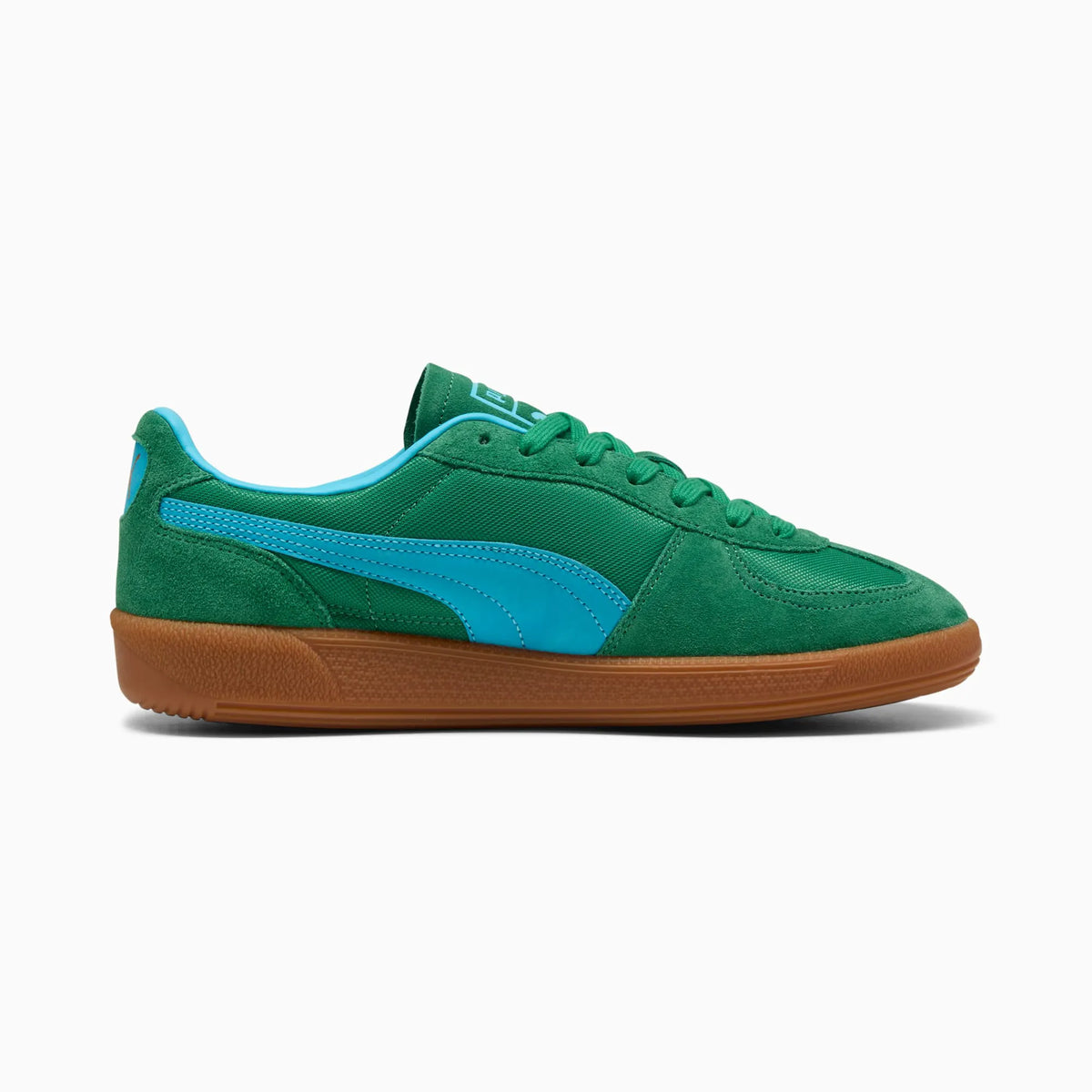Archive Green-Bright Aqua
