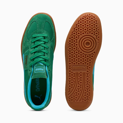 Archive Green-Bright Aqua