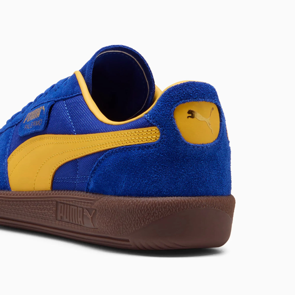 Vivid Blue-Sunny Yellow