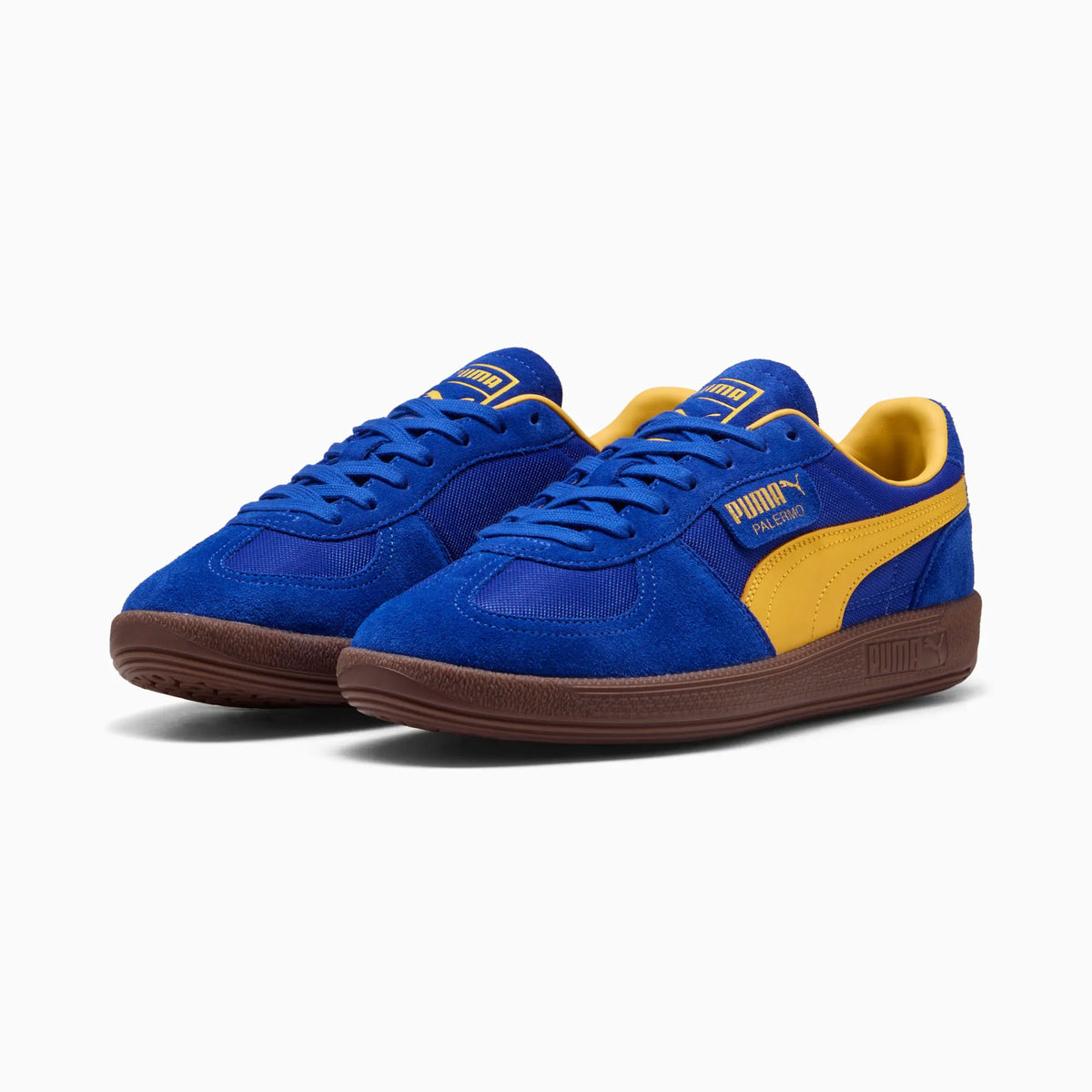 Vivid Blue-Sunny Yellow