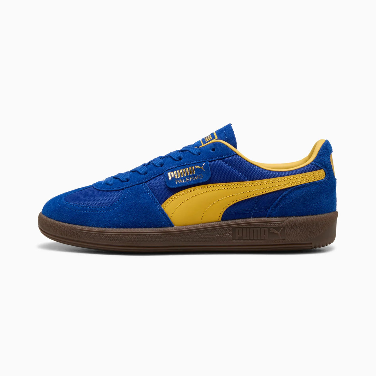 Vivid Blue-Sunny Yellow