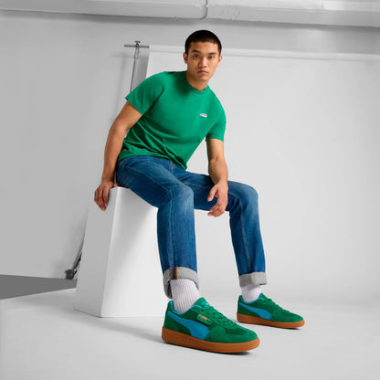 Archive Green-Bright Aqua