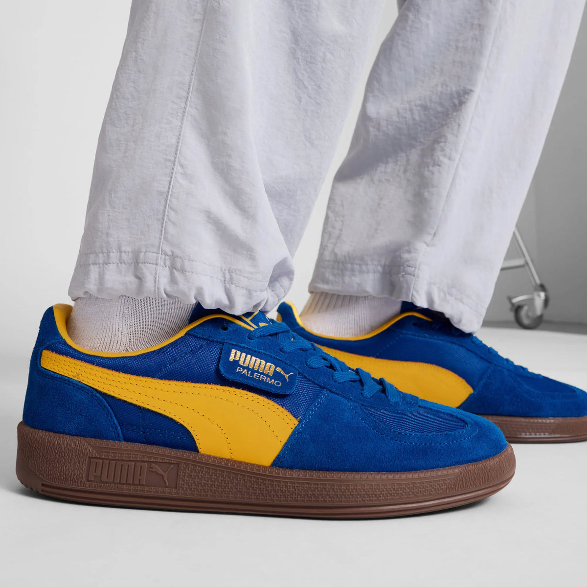 Vivid Blue-Sunny Yellow