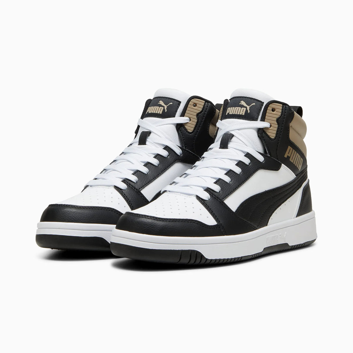 PUMA White-PUMA Black-Oak Branch