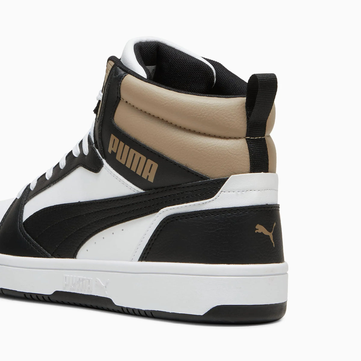PUMA White-PUMA Black-Oak Branch