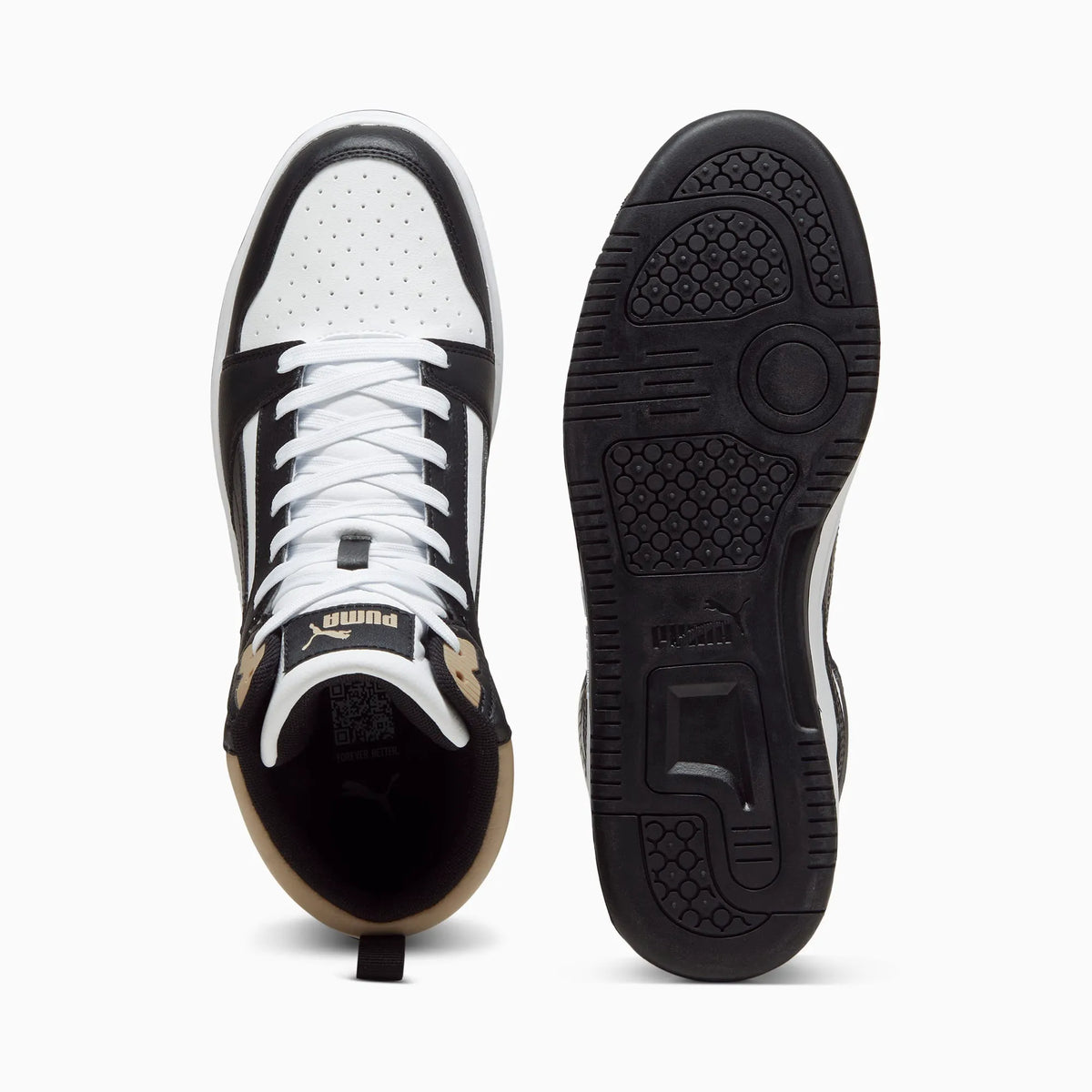 PUMA White-PUMA Black-Oak Branch