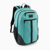 LIGHT PASTEL GREEN
