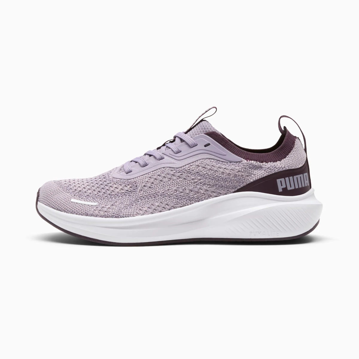 Pale Plum-Midnight Plum