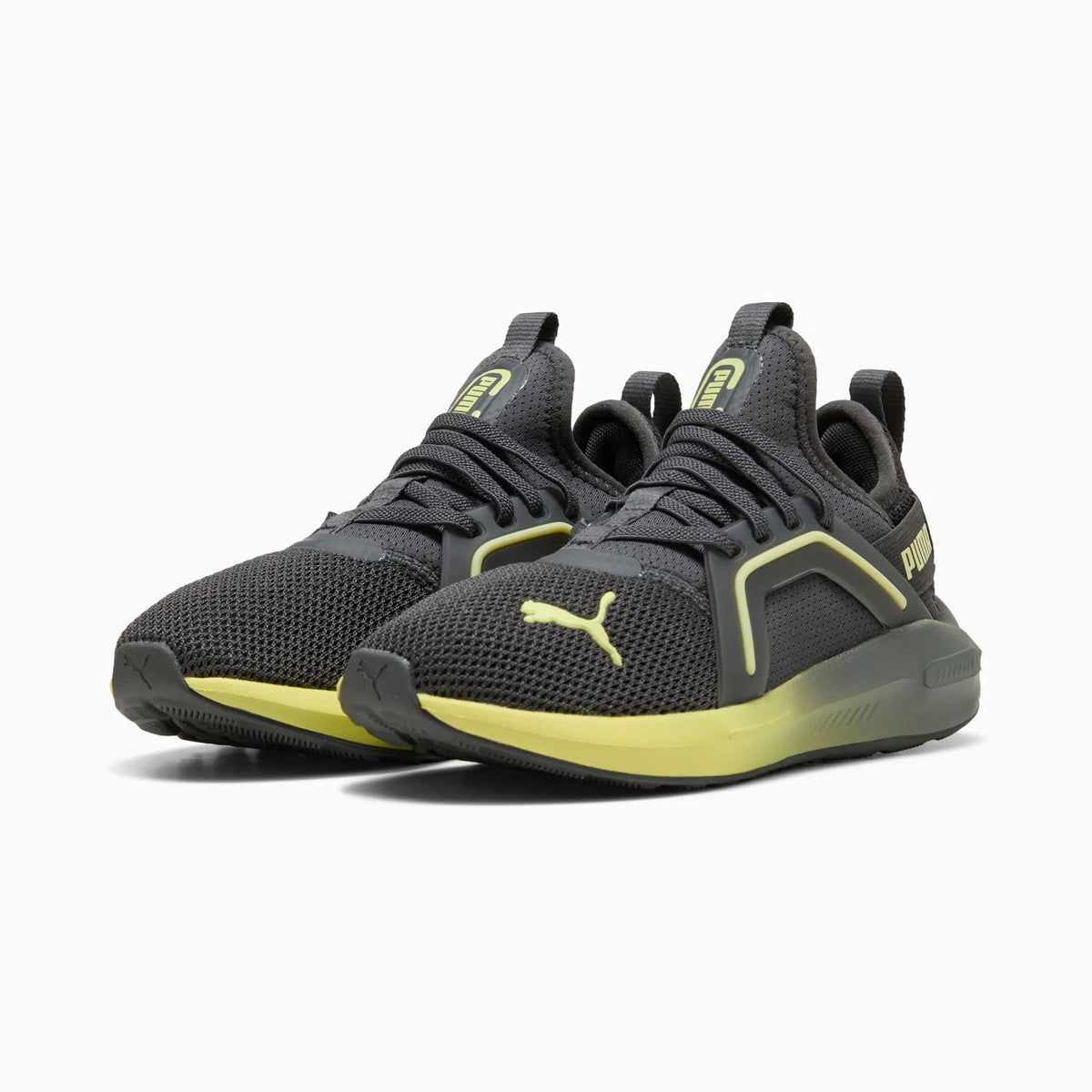 Dusky Gray-Fresh Yellow