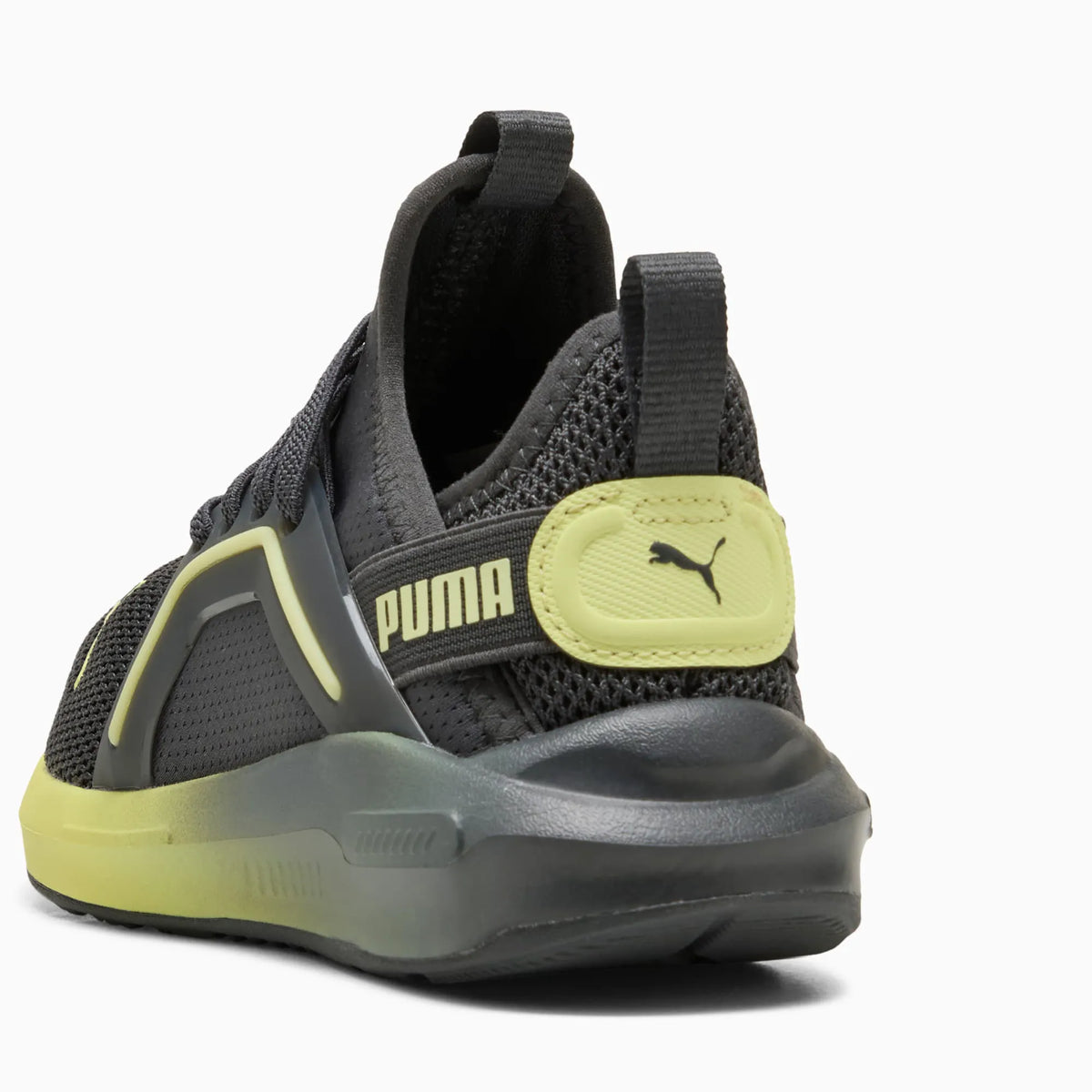 Dusky Gray-Fresh Yellow