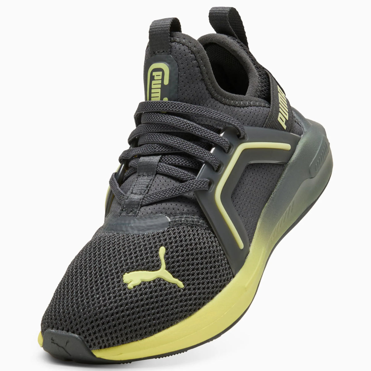Dusky Gray-Fresh Yellow