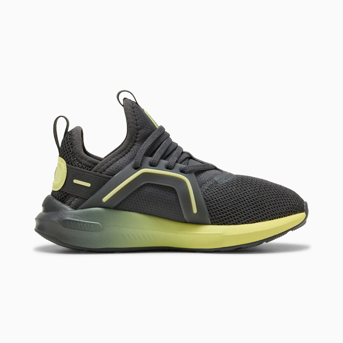 Dusky Gray-Fresh Yellow