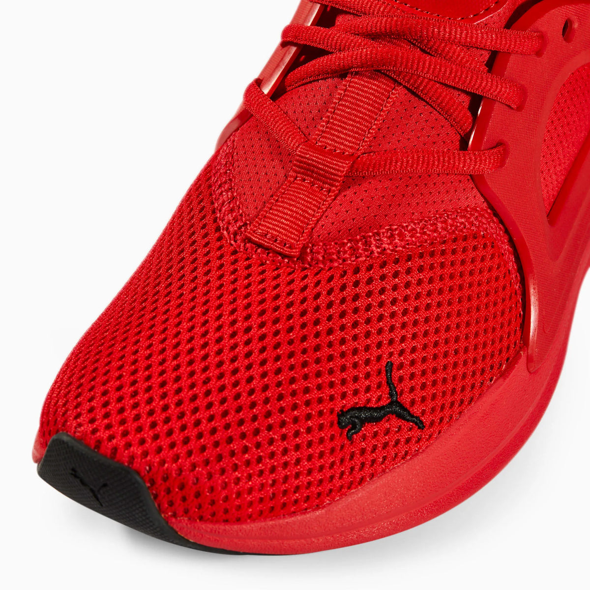 High Risk Red-Puma Black