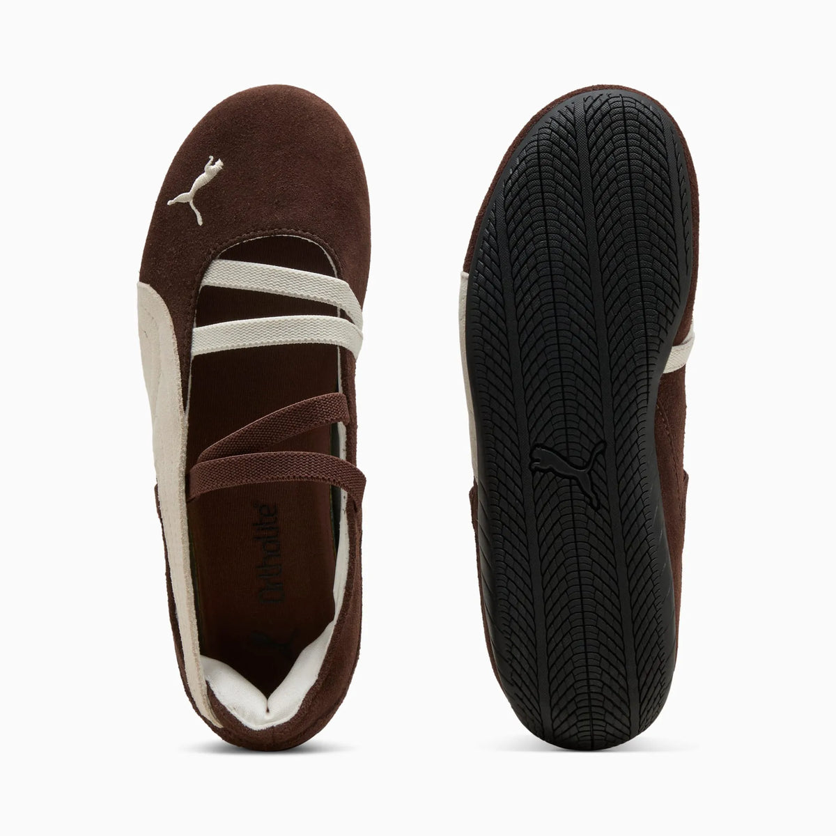 Chestnut Brown-Warm White