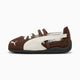Chestnut Brown-Warm White