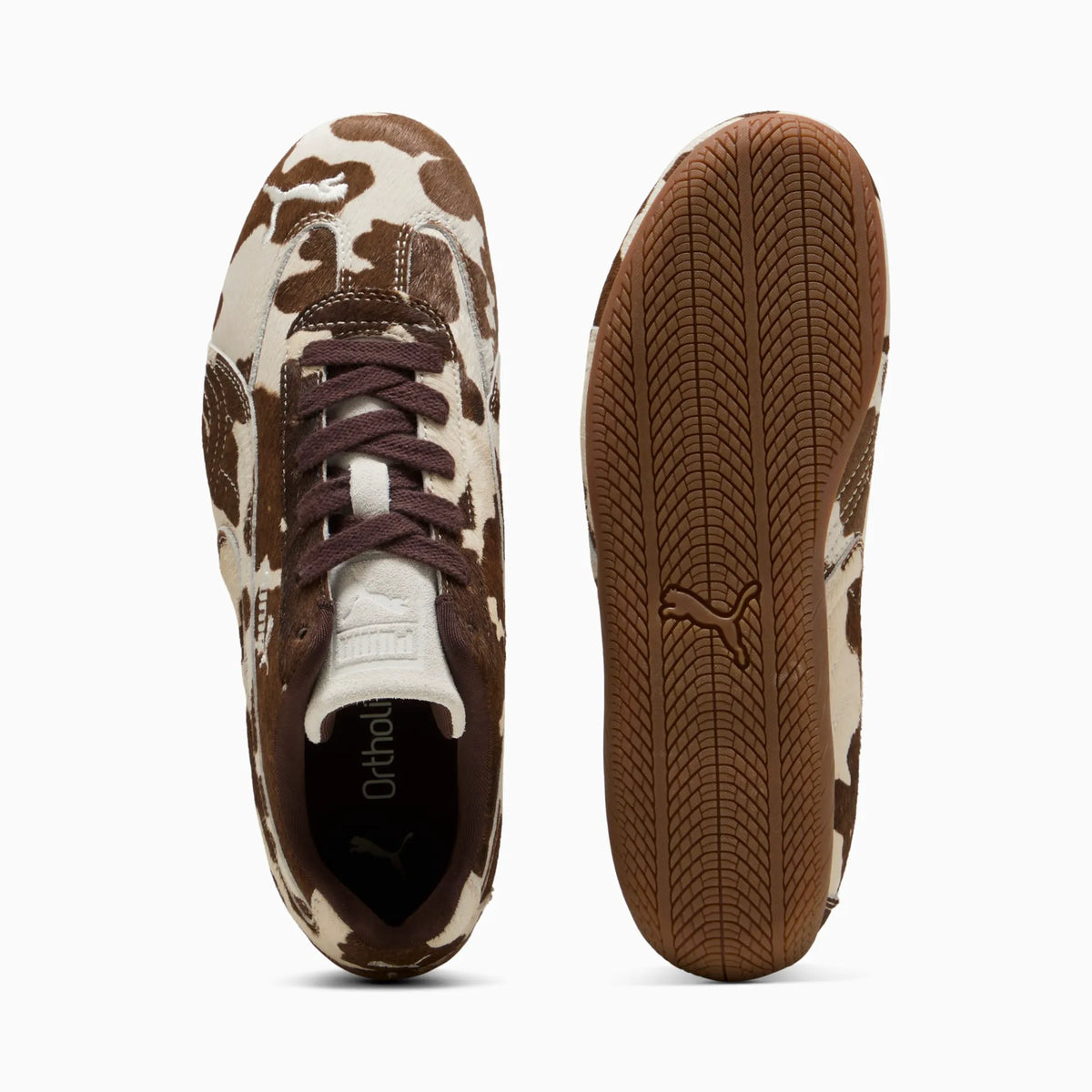 Chocolate Brown-Gum