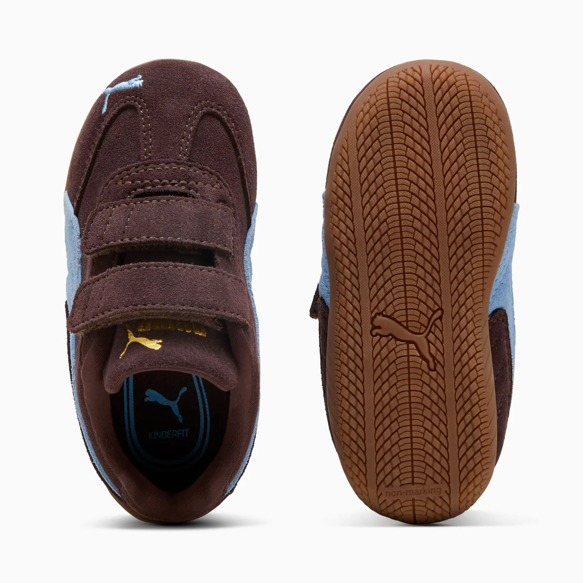 Chocolate Brown-Team Light Blue