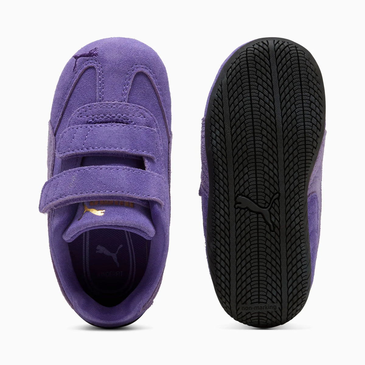 Team Violet-Lavender Alert