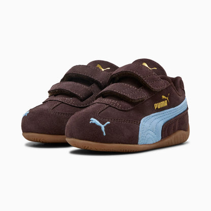 Chocolate Brown-Team Light Blue