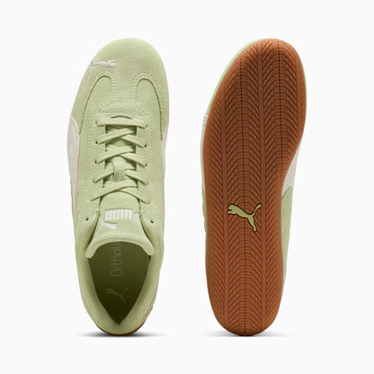 Pistachio Green-Warm White