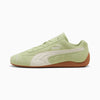 Pistachio Green-Warm White