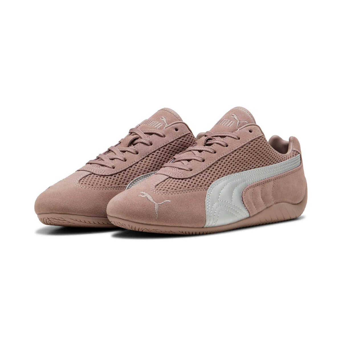 Sandstone-Matte Silver