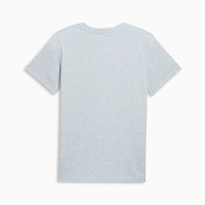 Light Gray Heather