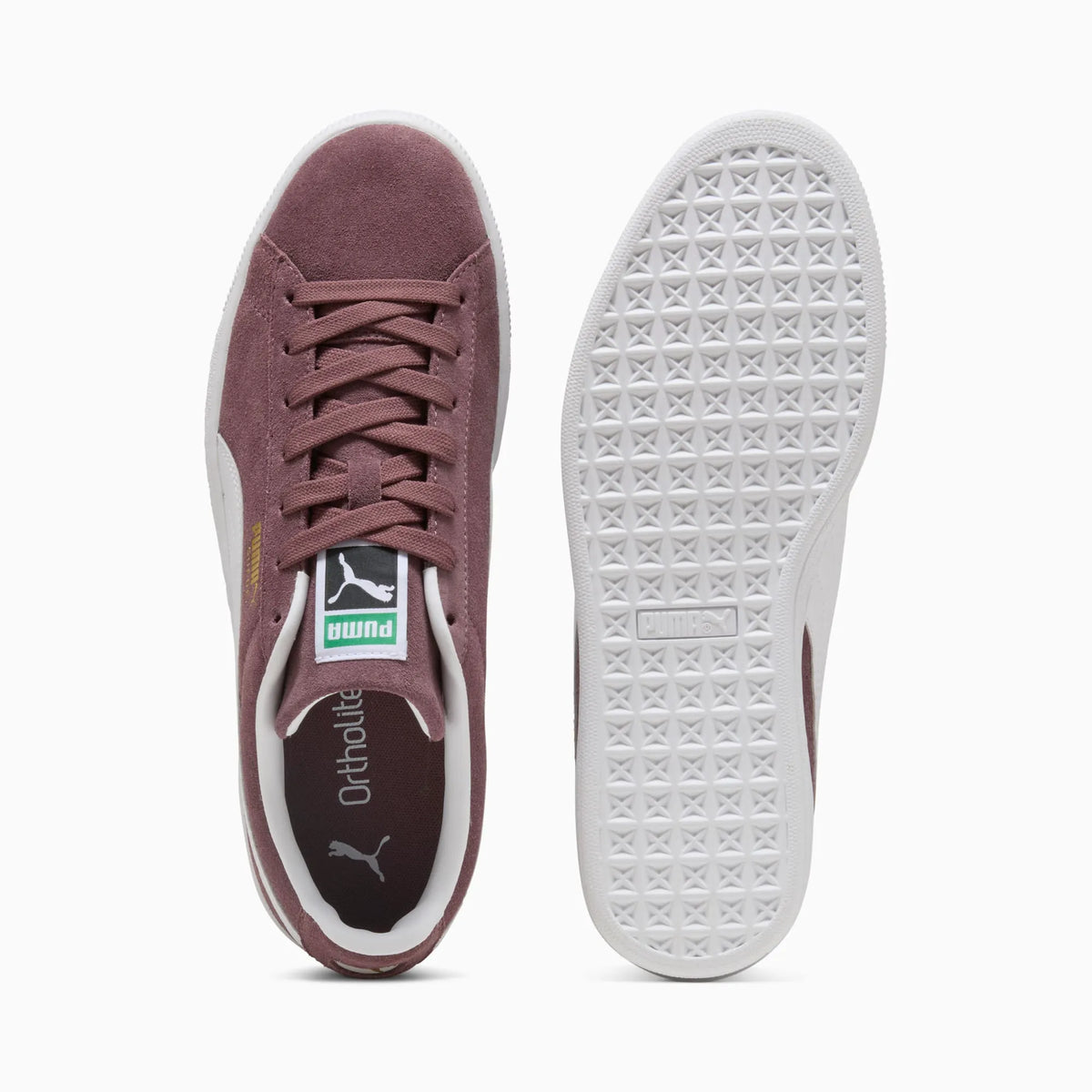 Rich Cocoa-PUMA White