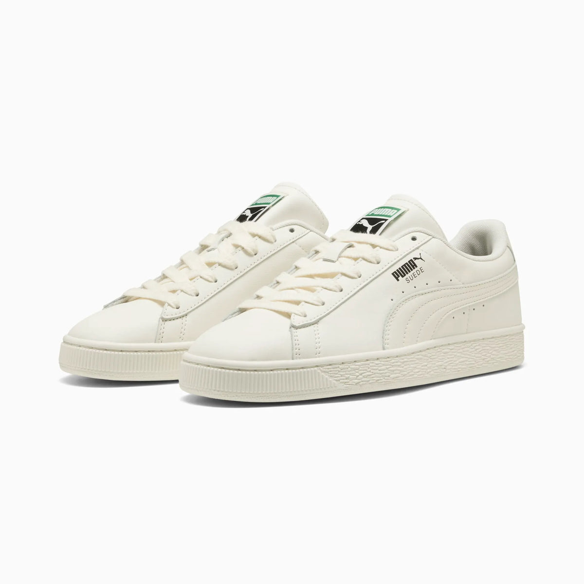 Warm White-Archive Green