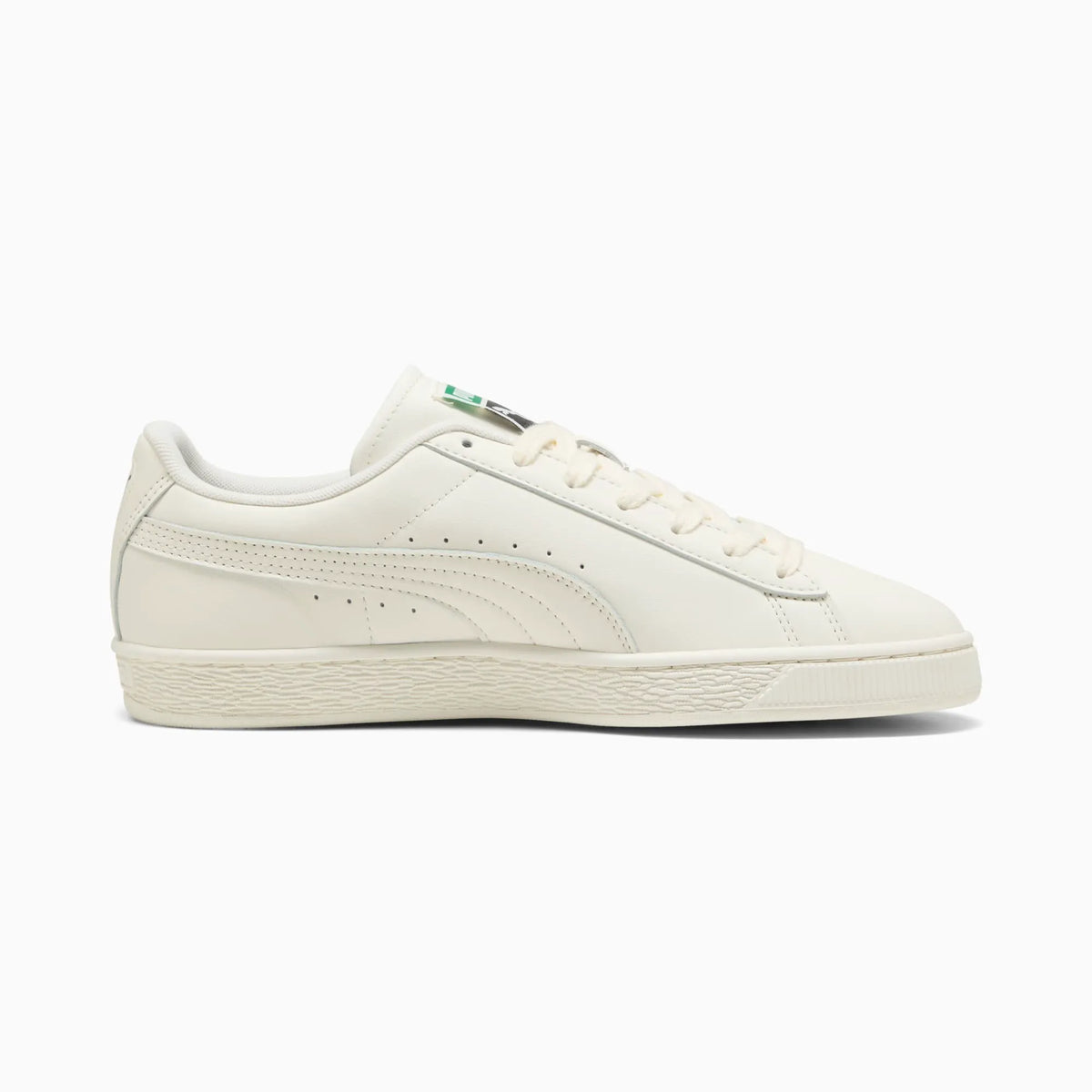 Warm White-Archive Green