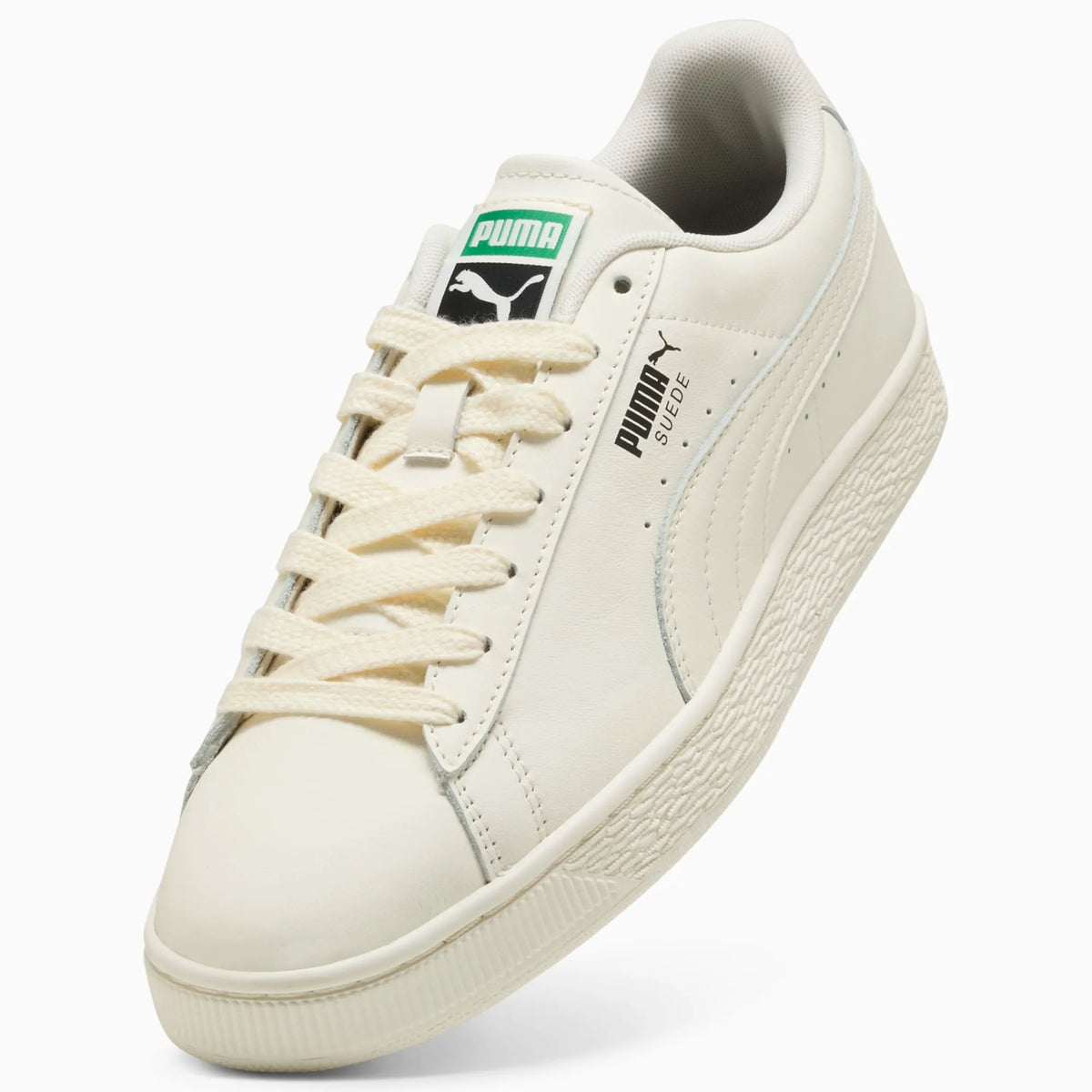 Warm White-Archive Green
