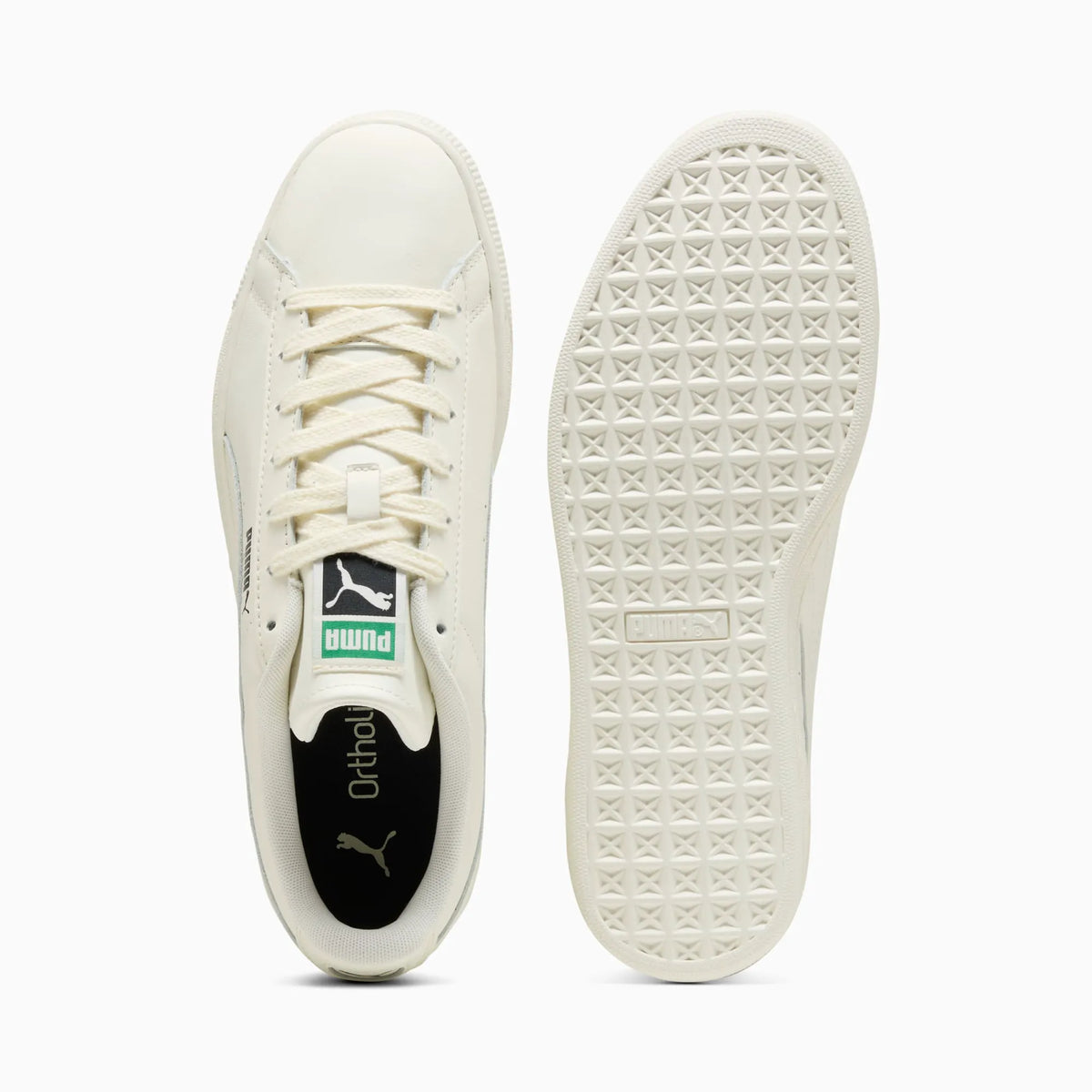 Warm White-Archive Green