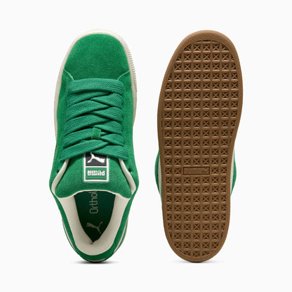 Archive Green-Vapor Gray