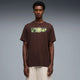 Chocolate Brown
