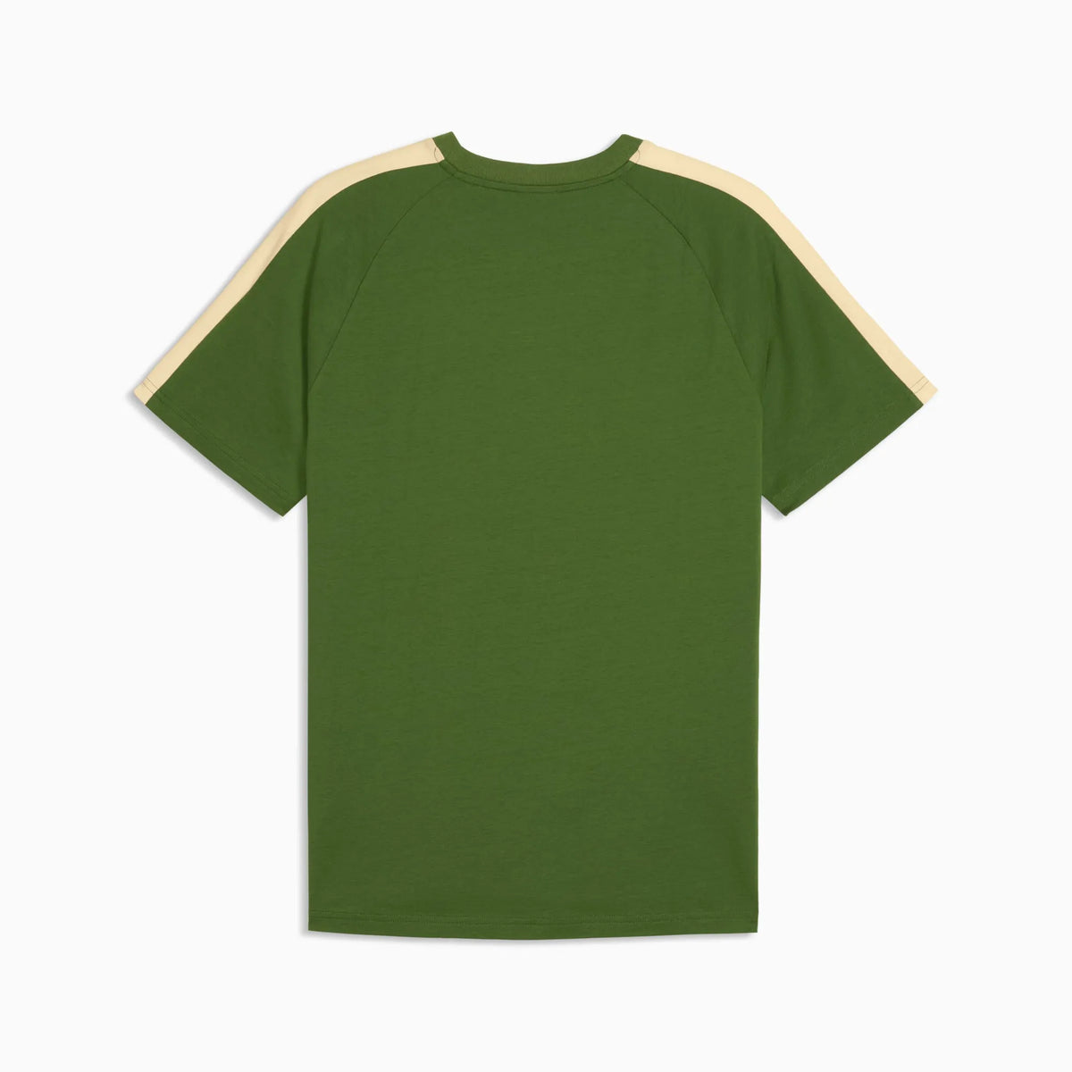 Earthy Green-Buttercream