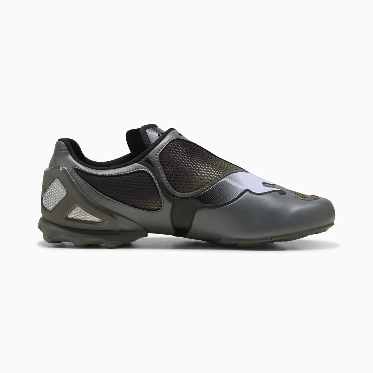 Cool Dark Gray-Loden Green
