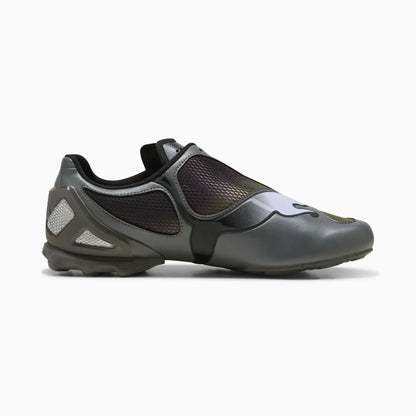 Cool Dark Gray-Loden Green