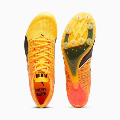 Sun Stream-Sunset Glow-Puma Black