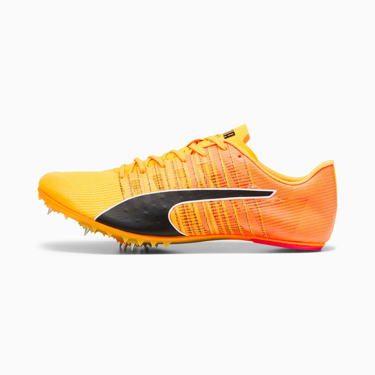 Sun Stream-Sunset Glow-Puma Black
