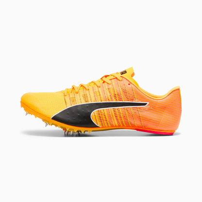 Sun Stream-Sunset Glow-Puma Black